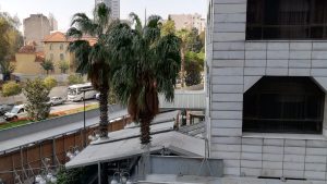 Vasilik kime verilir, kimler vasi olabilir?